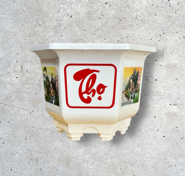 Tin tức Chậu Lục Giác Giá Sỉ – Lựa Chọn Hoàn Hảo Cho Nhà Vườn & Đại Lý