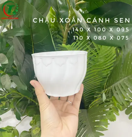 Sản phẩm Chậu xoắn cánh sen