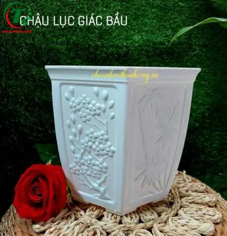 Sản phẩm Chậu lục giác bầu (mẫu mới )