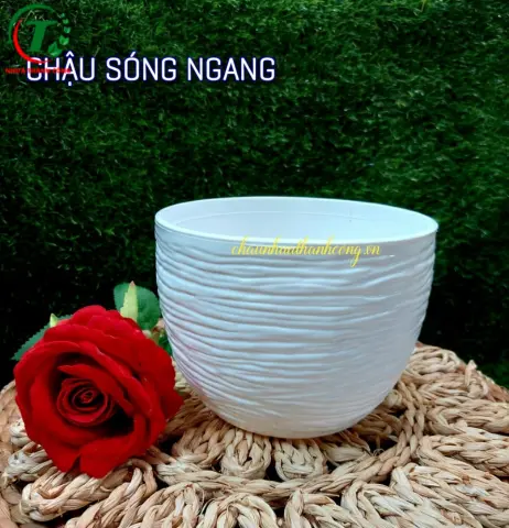 Sản phẩm Chậu nhựa sóng ngang ( mẫu mới )