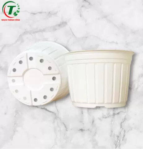 Sản phẩm Chậu có vành TTK size 300