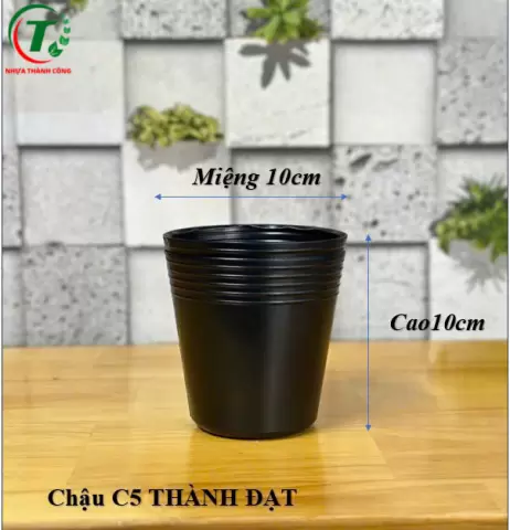 Sản phẩm C5 - CHẬU THÀNH ĐẠT
