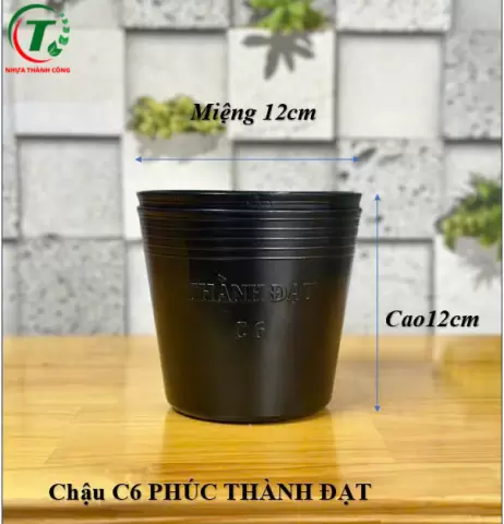 Sản phẩm C6 PHÚC - CHẬU THÀNH ĐẠT
