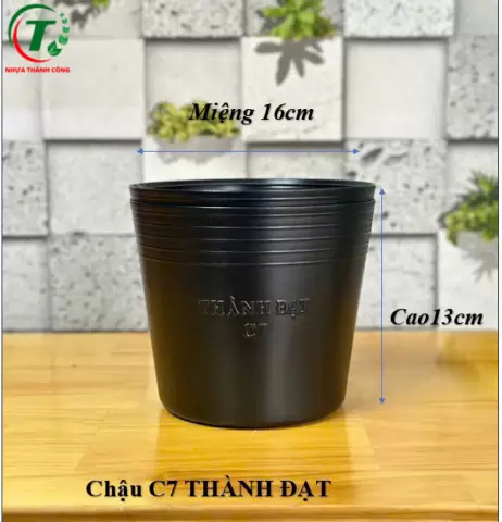 Sản phẩm C7 - CHẬU THÀNH ĐẠT