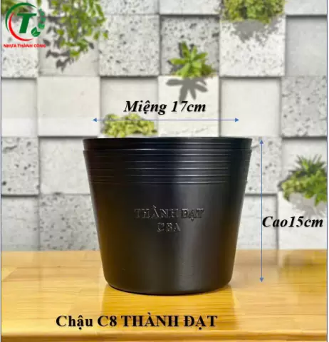 Sản phẩm C8 - CHẬU THÀNH ĐẠT