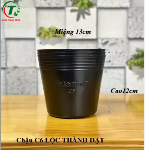 Sản phẩm C6 LỘC - CHẬU THÀNH ĐẠT